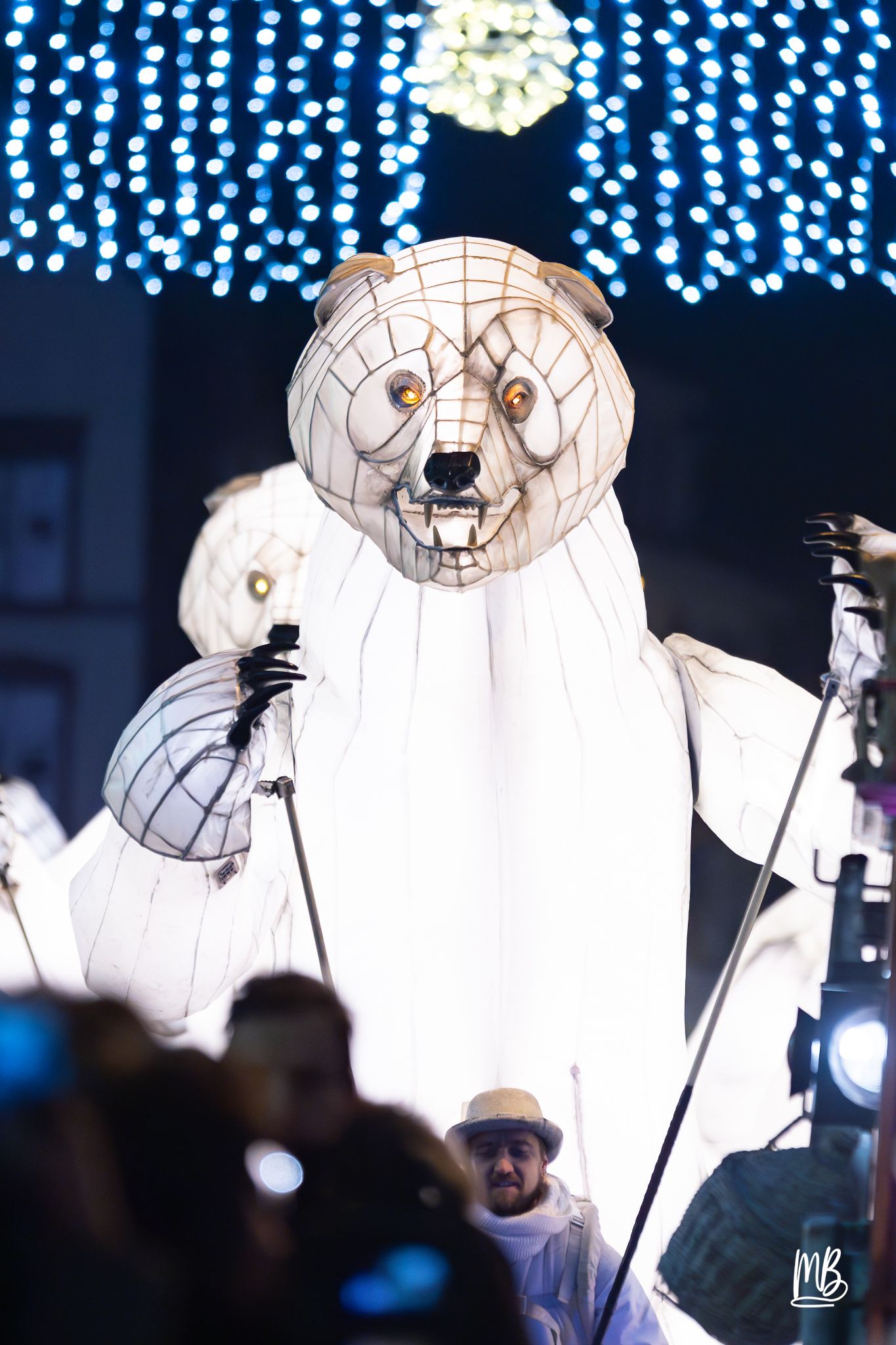 MB2024 CIE REMUE MENAGE(Gueule d'ours) (12 sur 107)